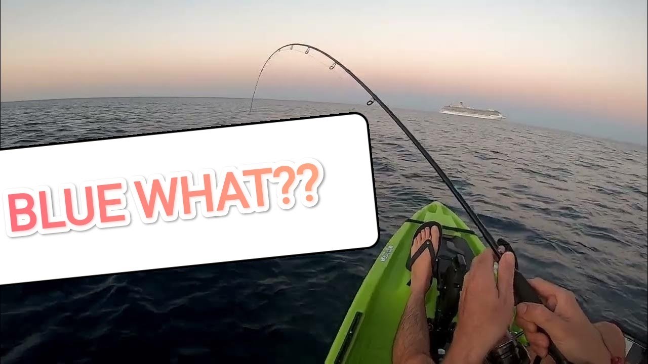 My First Blue Runner. Kayak fishing...rtm Hiro