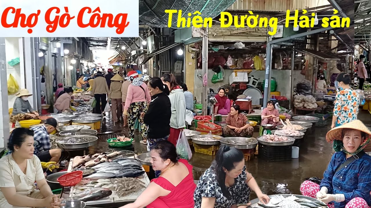 Ngập tràn Hải sản Chợ Gò Công - Tiền Giang, hàng hóa tấp nập, bà con ai cũng thân thiện 