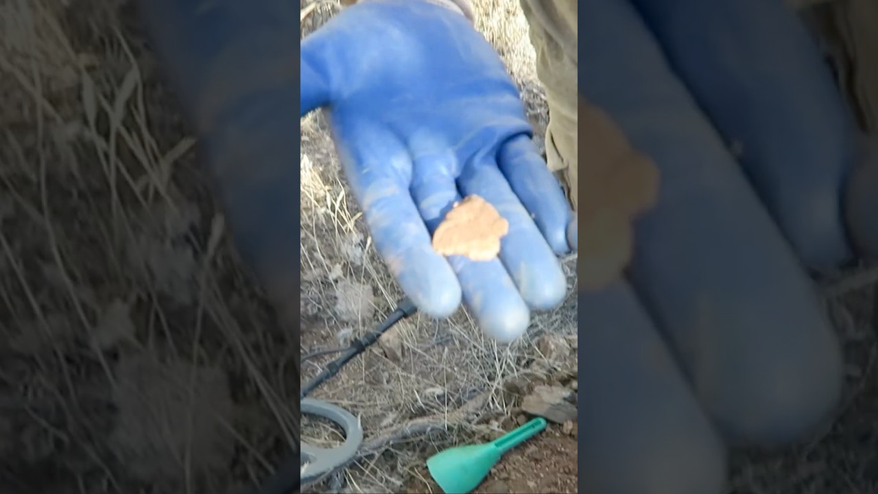 1 Ounce Gold Nugget Found 😲