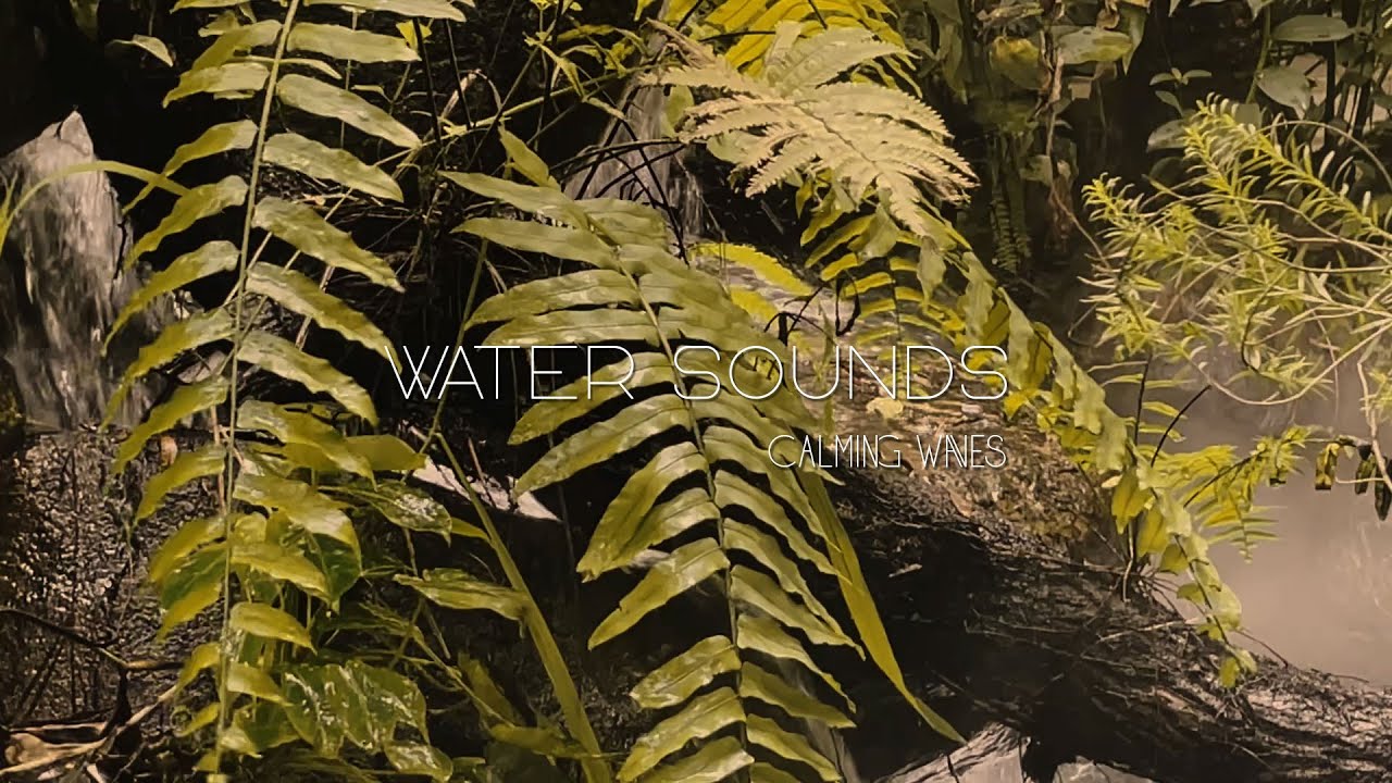 Peacefall Music – Relaxing Piano for Sleep & Study