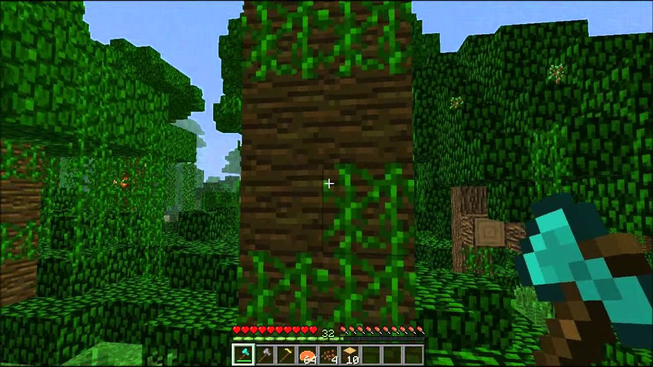 Minecraft Xbox 360 - Jungle Biome Info 