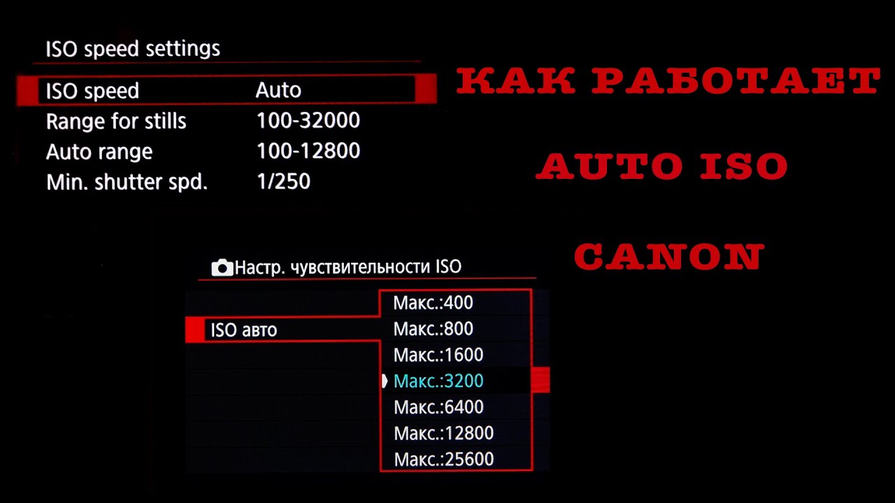 AUTO ISO Canon