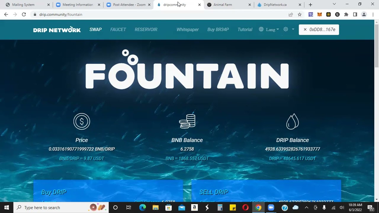 Drip Network - Team Update