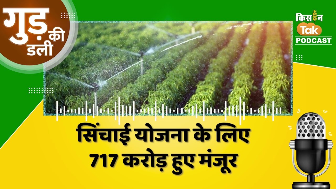 Gud Ki Dali: UP में किसानों को सिंचाई के लिए मिलेगा भरपूर पानी, CM योगी ने मंजूर किए 717 करोड़ रुपये