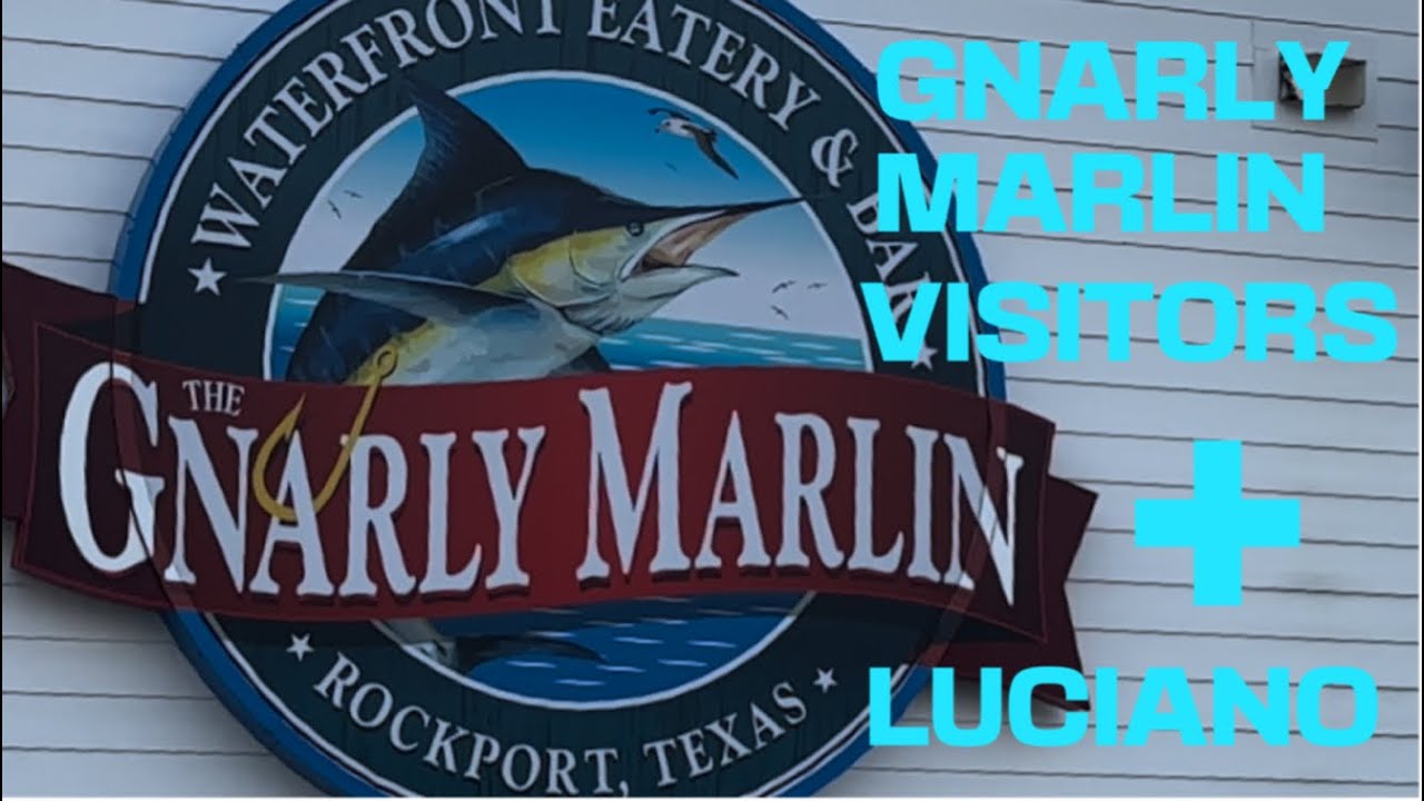 Gnarly Marlin, Visitors & Luciano