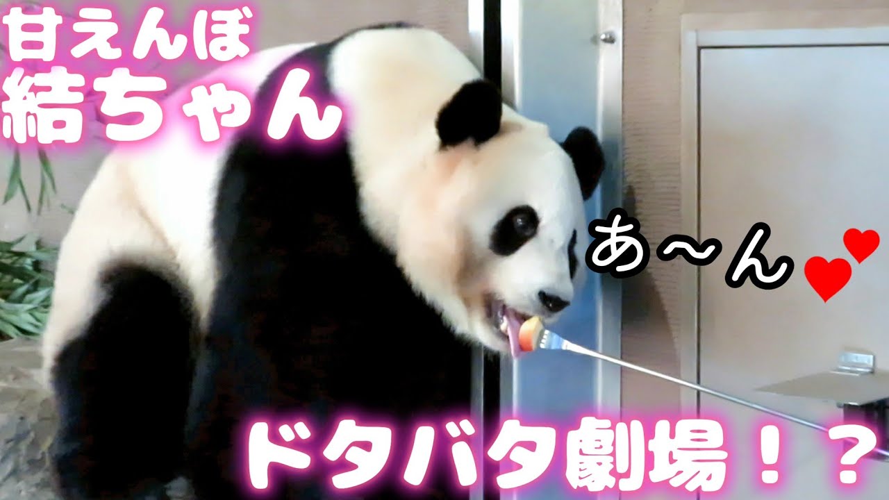 甘えんぼ結ちゃん🎀のドタバタ劇場！？