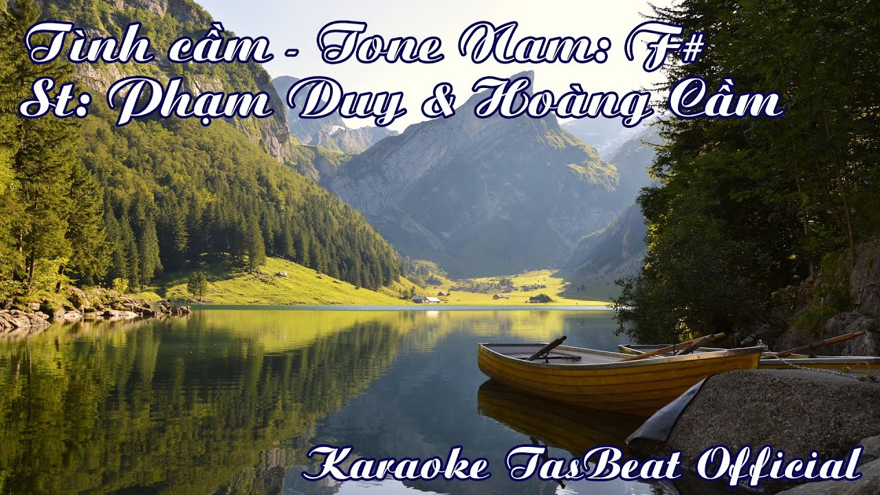 Karaoke T&igrave;nh Cầm Tone Nam | TAS BEAT