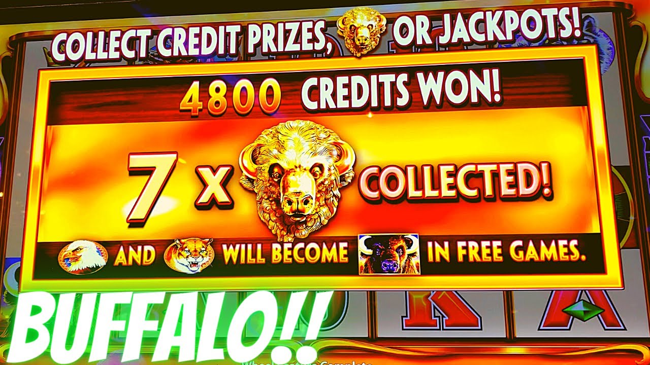 7 Heads To Start! AWESOME Buffalo Gold Revolution Slot Machine Play  Bonuses!