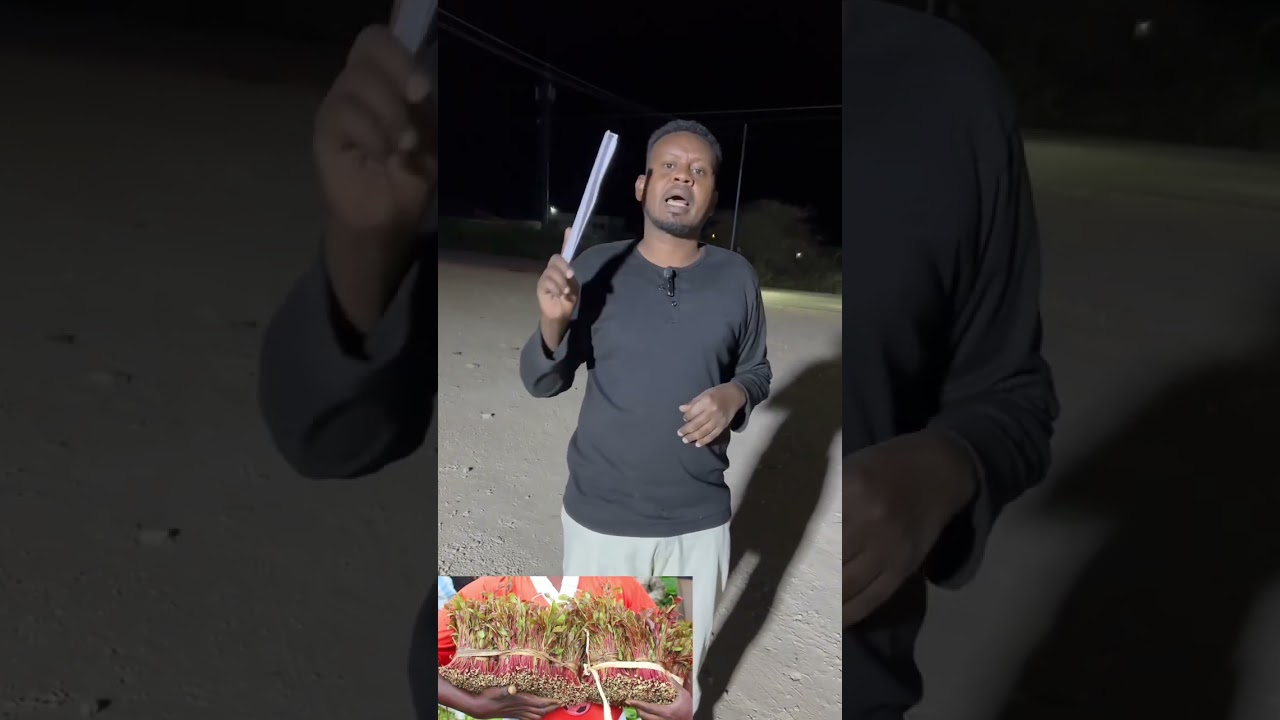Ganacsade Cawil Nokia Oo Ka Mida Ganacsatada Qaadka Miirooga Ee Gobolka Togdheer Oo Caawa Ka Hadlay