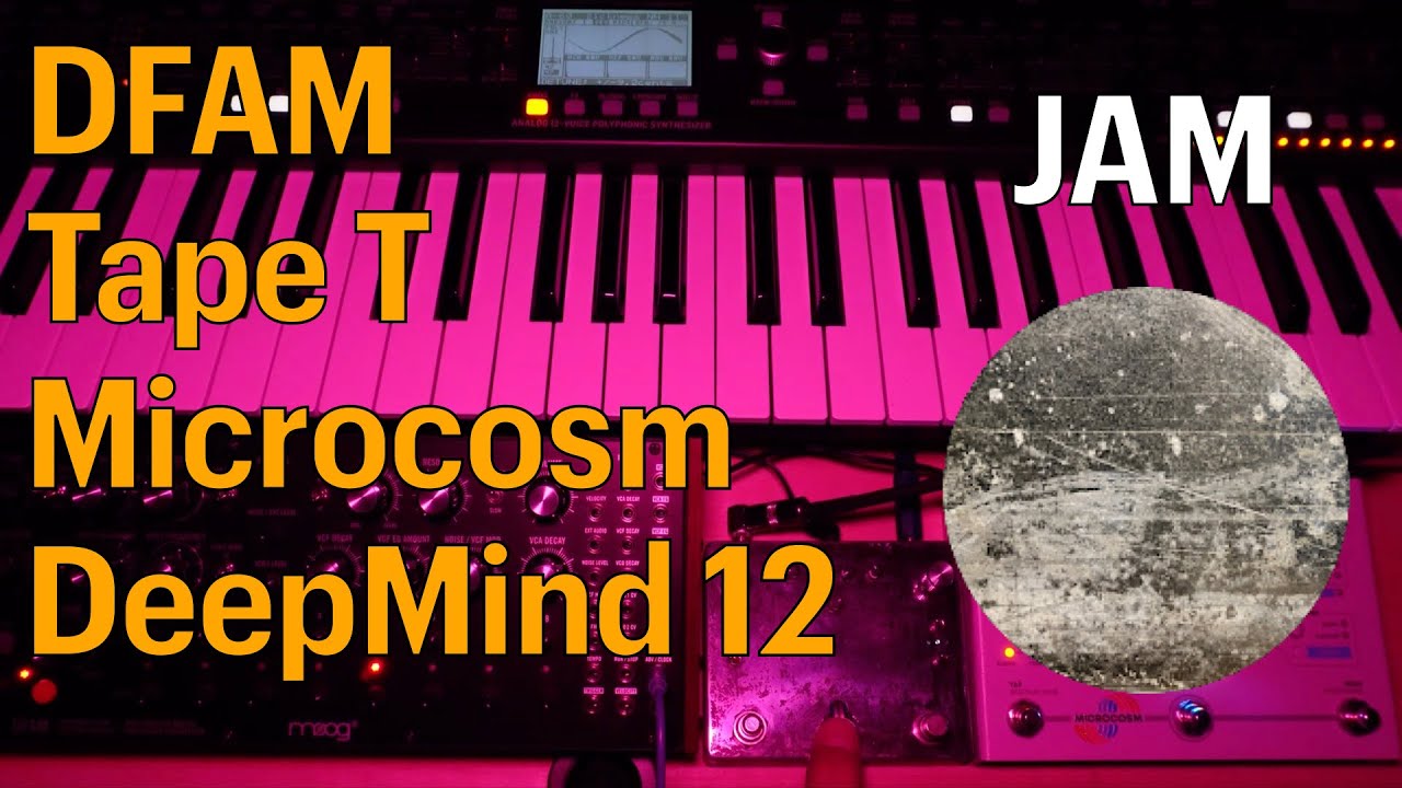 DFAM, Tape T,  Microcosm, and DeepMind 12 - Jam