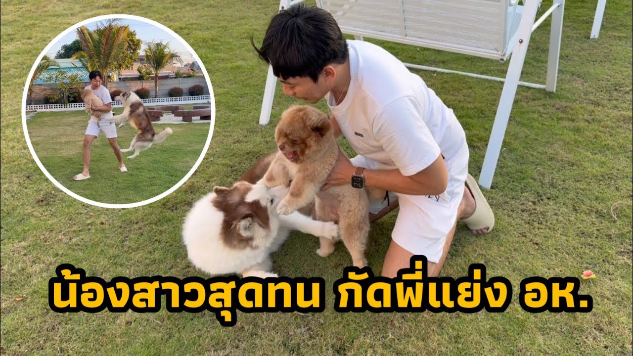 พี่ชายสุดแสบแสนรัก อยากให้น้องขี้วีนมาเล่นด้วยจนเกิดเรื่อง