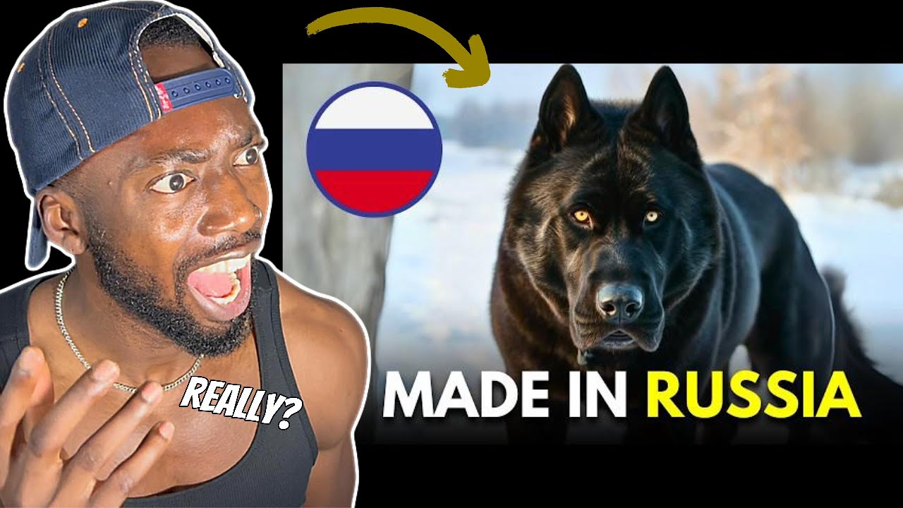 7 RARE 🇷🇺RUSSIAN Origin Dog Breeds You Don't Know About ! ⎢REACTION