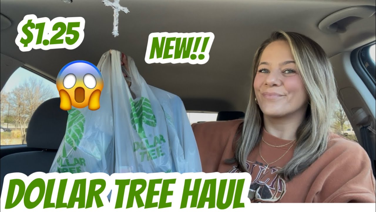 DOLLAR TREE HAUL | NEW 😱 | AMAZING FINDS | CHATTY CAR HAUL 