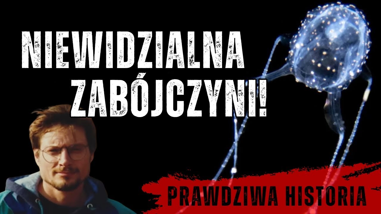 Najgroźniejsza meduza świata!