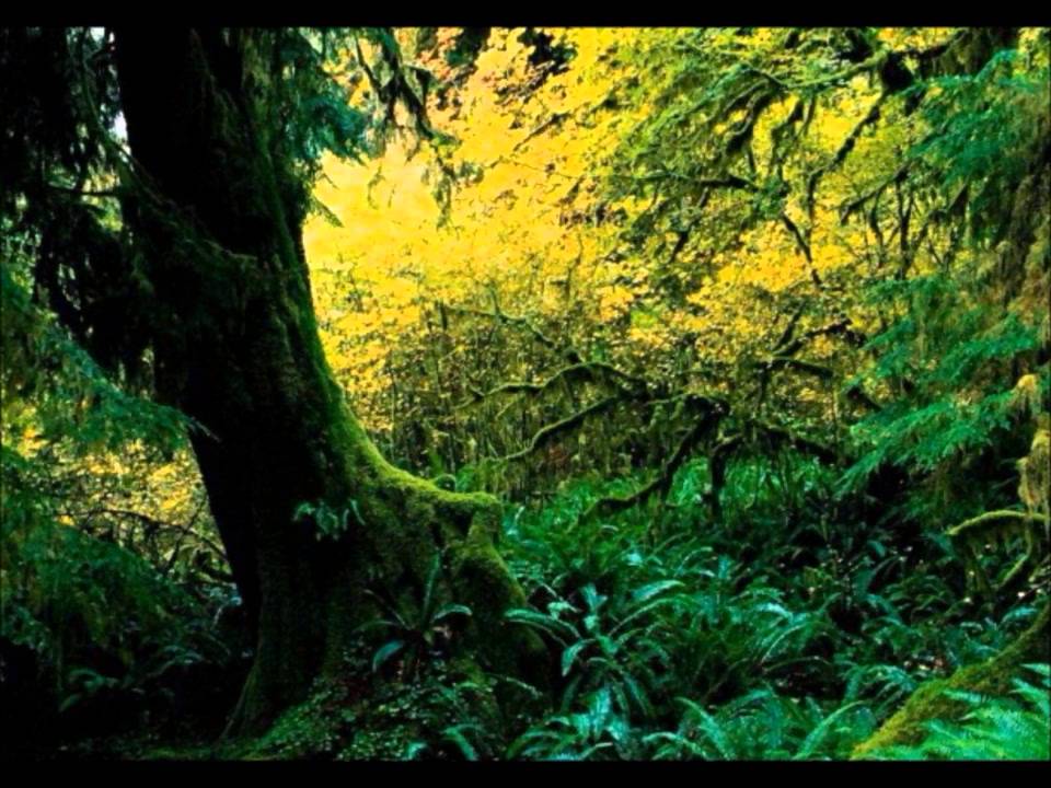 Robin Williamson - The Dialogue Of The Two Sages