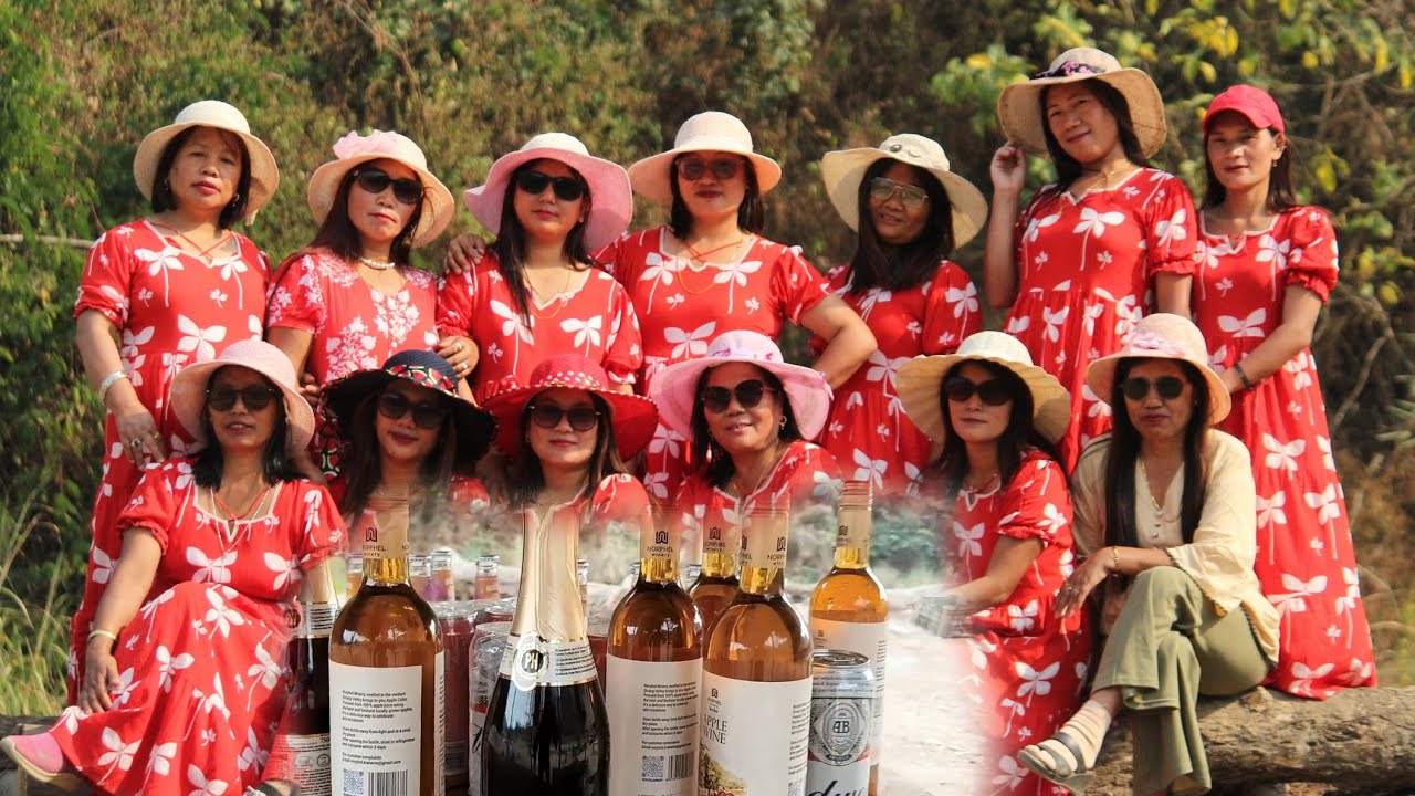 Women picnic video clip