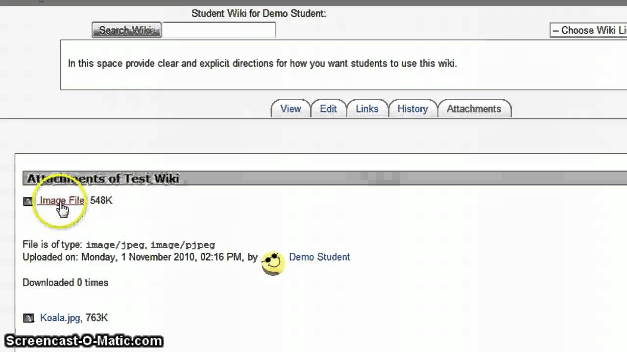 Wiki Part II