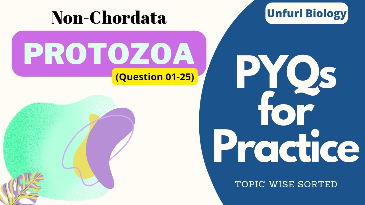 Non-Chordata (Protozoa) MCQs (PYQs) for Practice #protozoa  #protozoamcqs #protozoapyqs #biologymcqs