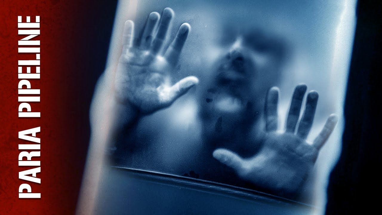 Diver Explains: The Paria Pipeline Incident
