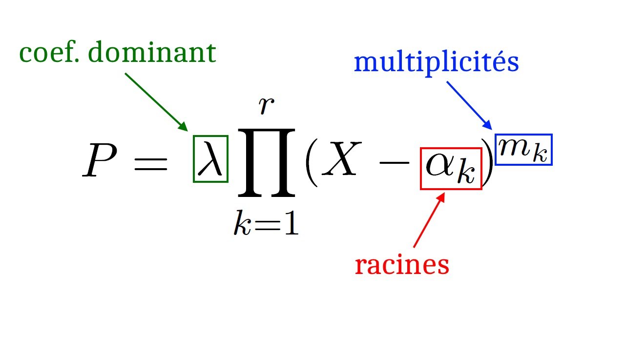 Polynômes 8 - Factorisation dans C[X]