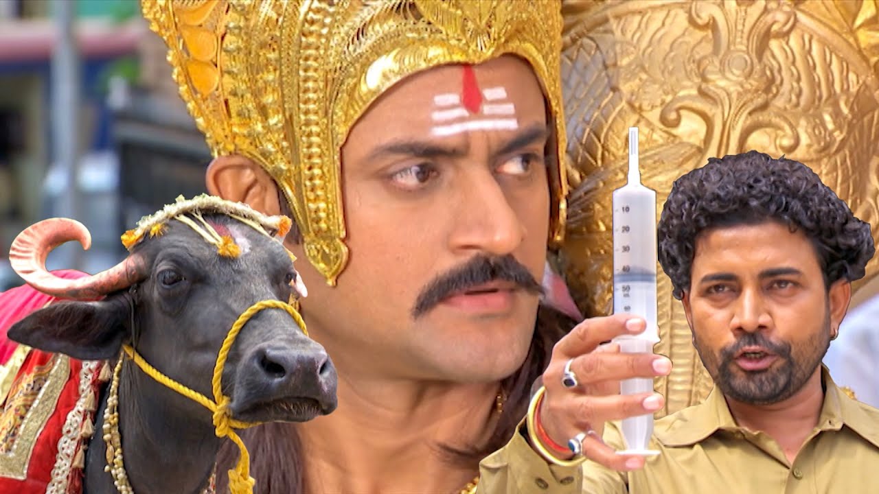 यमराज के बैल महेश को जब पकड़ने आये पशु केंद्र वाले | यम है हम | Yam Hain Ham | Episode 58