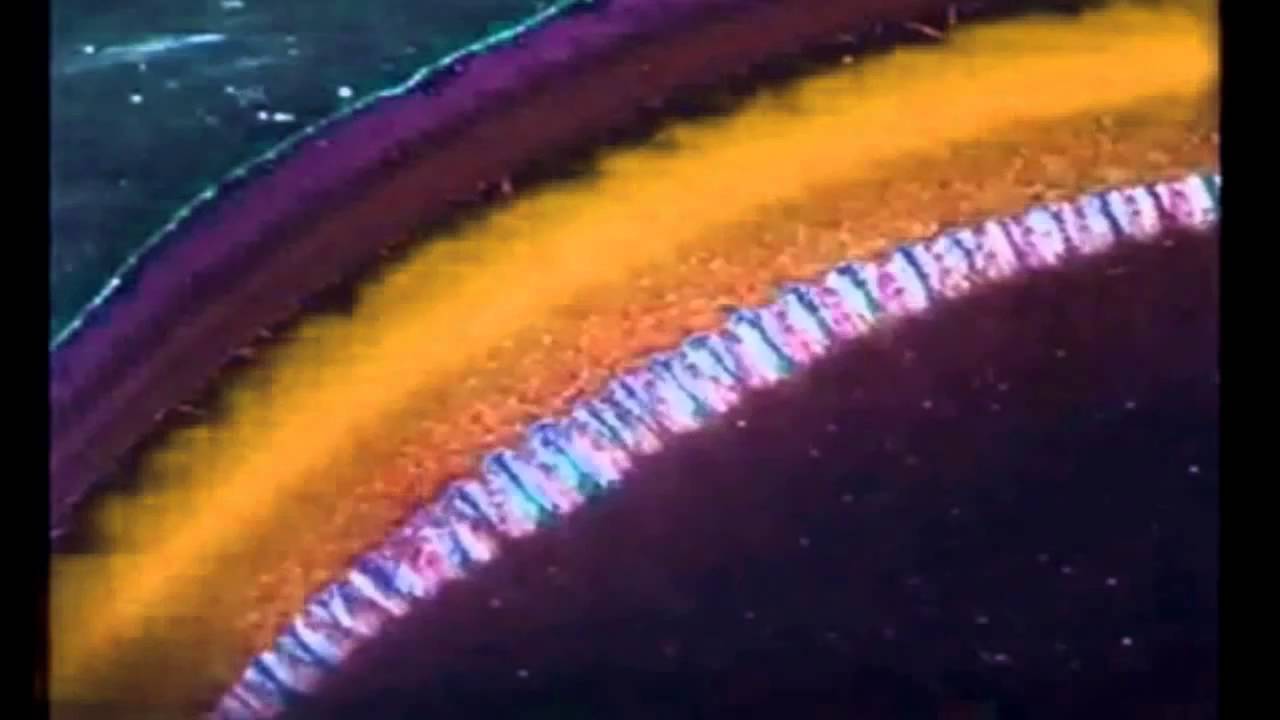 Flying Lotus - Archway - Teebs Remix -  Cosmogramma Alt Takes - 2011