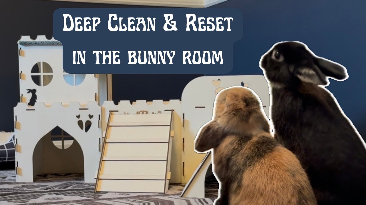 Deep Clean & Reset The Bunny Room With Me | Real Time Cleaning