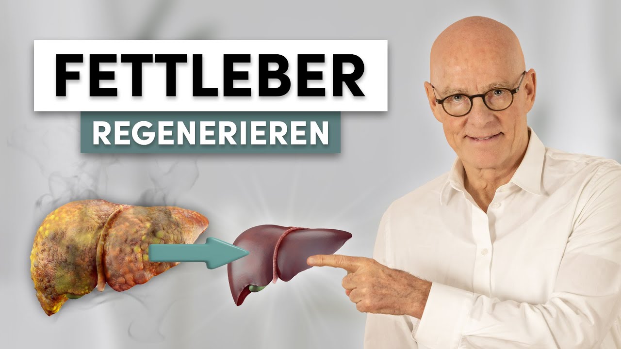 Fettleber regenerieren: So behandelst Du sie richtig!