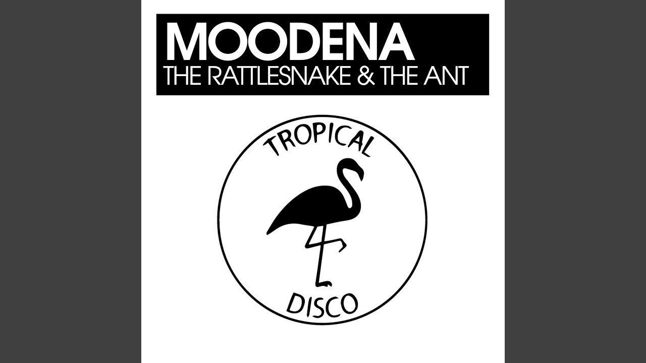 The Rattlesnake & The Ant