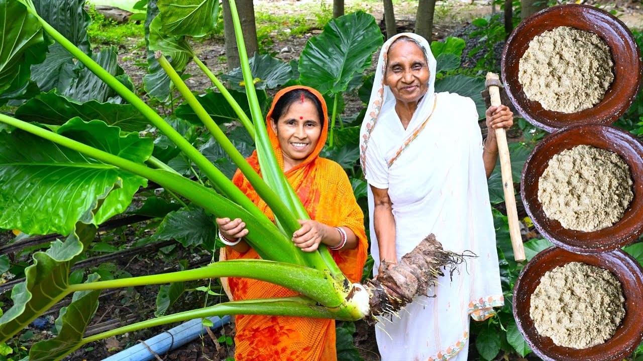 গ্রাম্য স্বাদে কাঁচা মানকচু বাটা কিভাবে করতে হয় | village style Mankochu Bata recipe by my mother