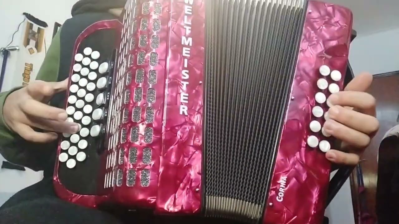 Rio Lima na concertina