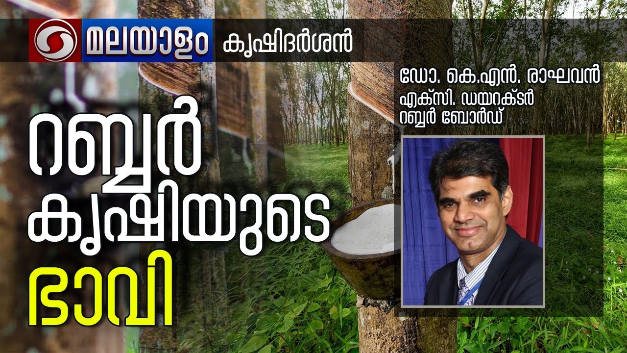 റബ്ബർ കൃഷിയുടെ ഭാവി | കൃഷിദർശൻ  Phone-In 11/3/2022