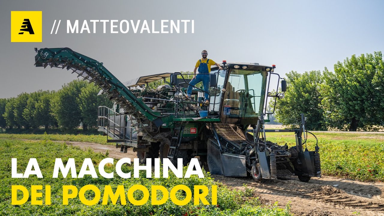 Come si raccolgono i POMODORI? Tutti i SEGRETI di una MACCHINA RACCOGLITRICE da 360.000 €