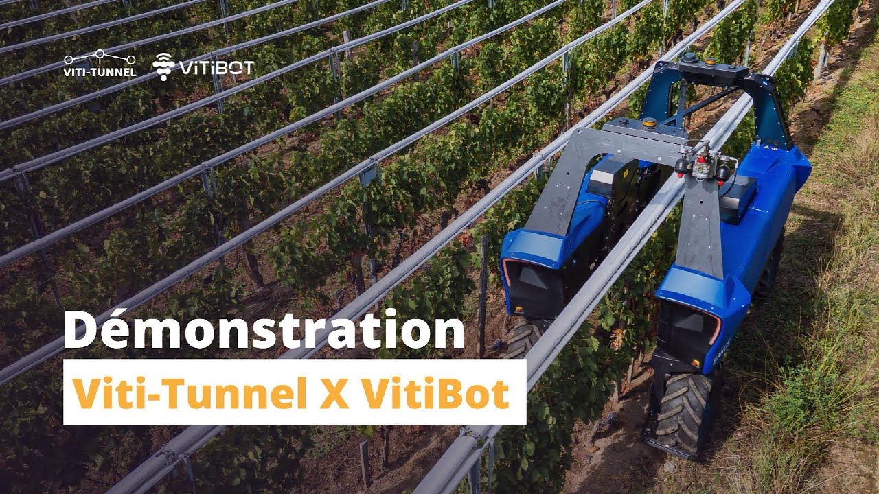 Viti-Tunnel X VitiBot : quand la robotique rencontre la viticulture durable