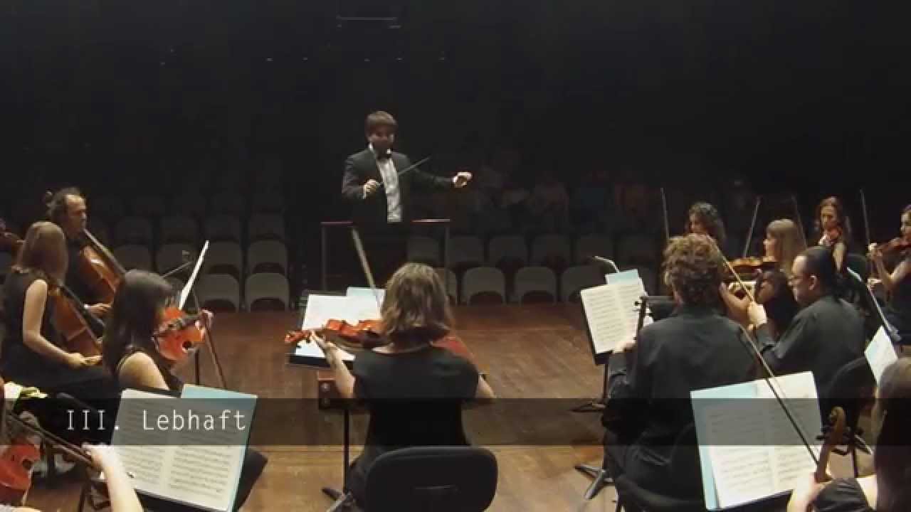 Hindemith - Five Pieces for String Orchestra op. 44 IV - Raúl Lacilla