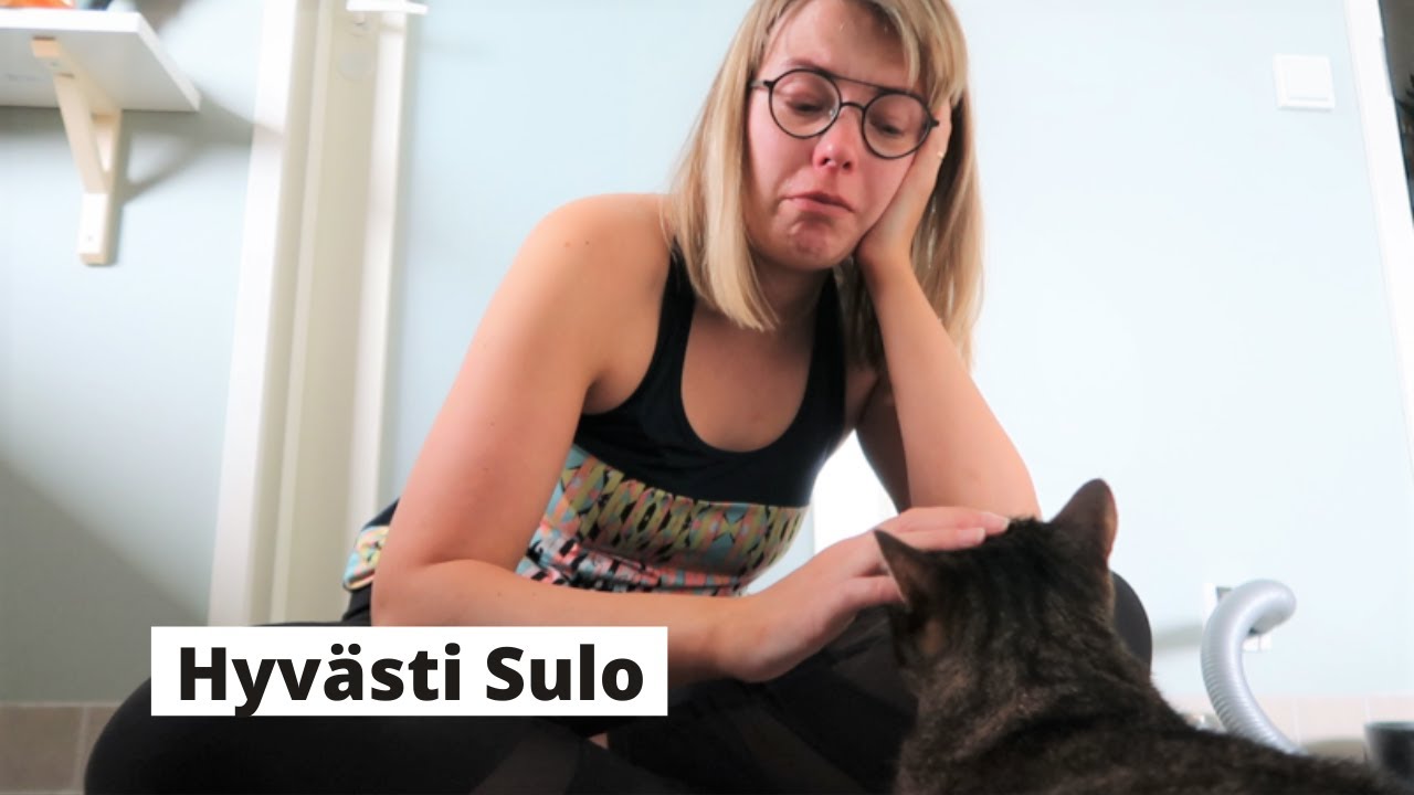 Lemmikistä luopuminen on vaikeaa