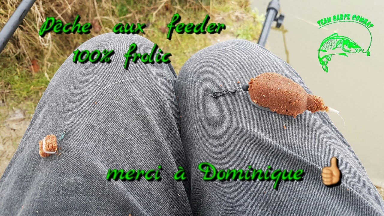 Feeder 100% frolic