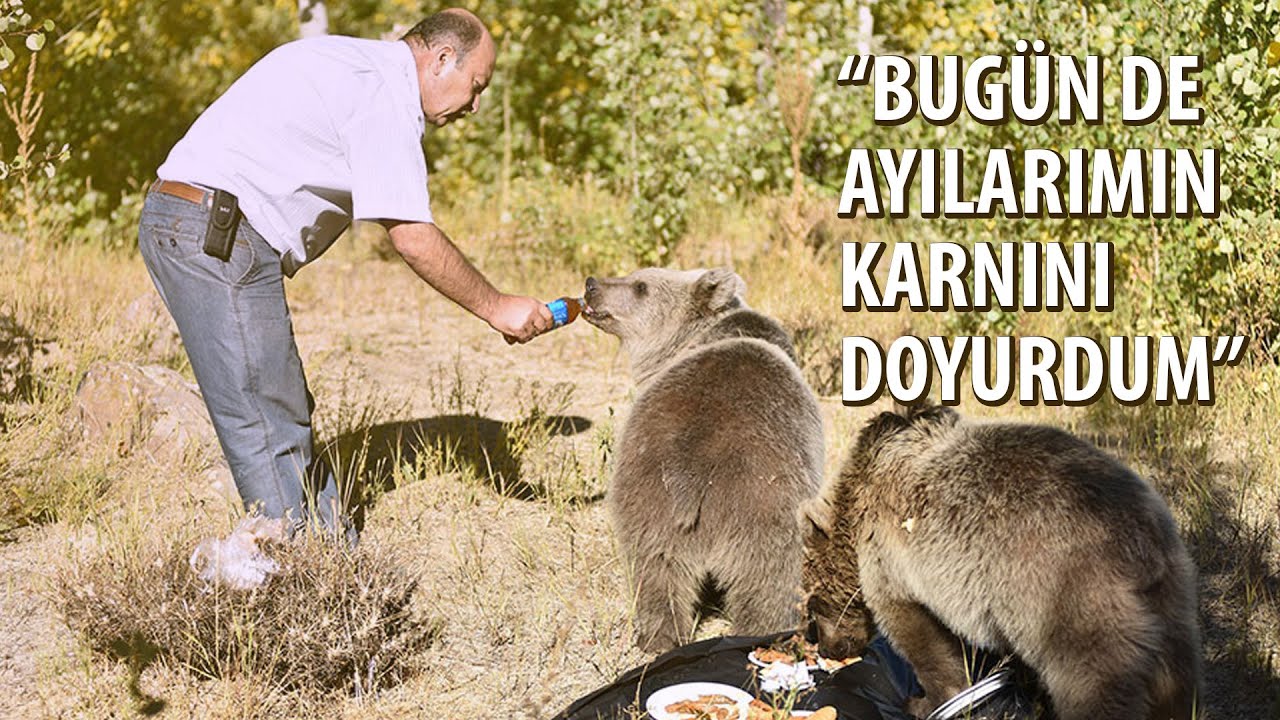 Ayılara Sofra Kuruyor, Onları Elleriyle Besliyor