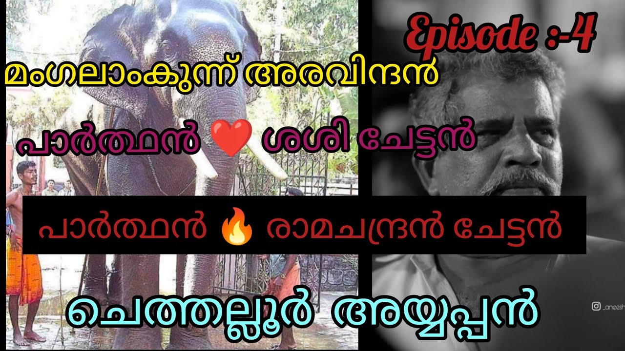 പഴയ ആനകളെ ഫോട്ടോ നോക്കി വിലയിരുത്താൻ പറ്റില്ല.🔥/malayalam elephant story /Kerala elephant/#ആന #aana 