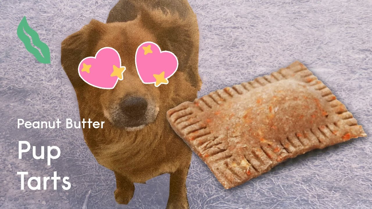 Pup Tarts! Your dog will go nuts for these treats