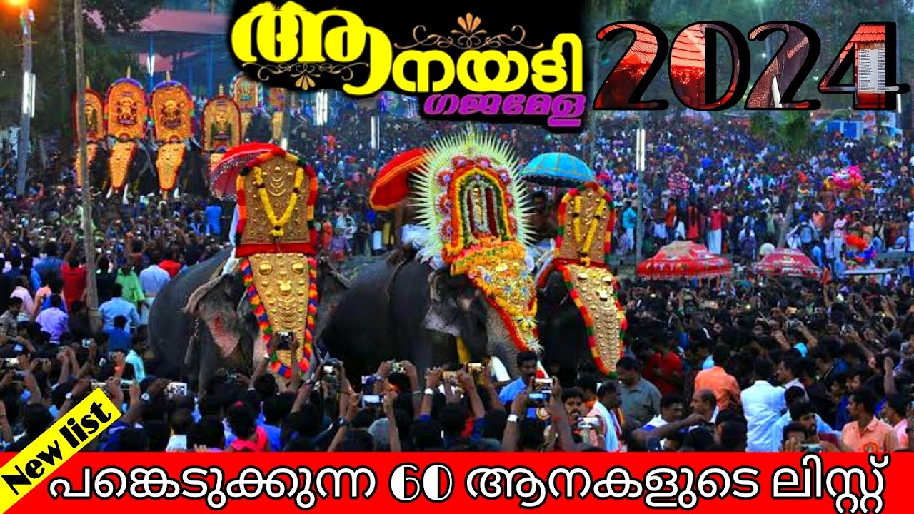 ആനയടി പൂരം 2024 പങ്കെടുക്കുന്ന 60 ആനകൾ aanayadi pooram 2024 elephant new list
