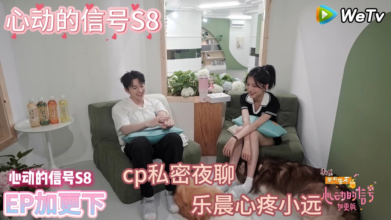 【心动的信号S8】EP加更下：cp私密夜聊，乐晨心疼小远|  Heart Signal S8 #心动的信号 #心动的信号S8#言承旭##徐明浩