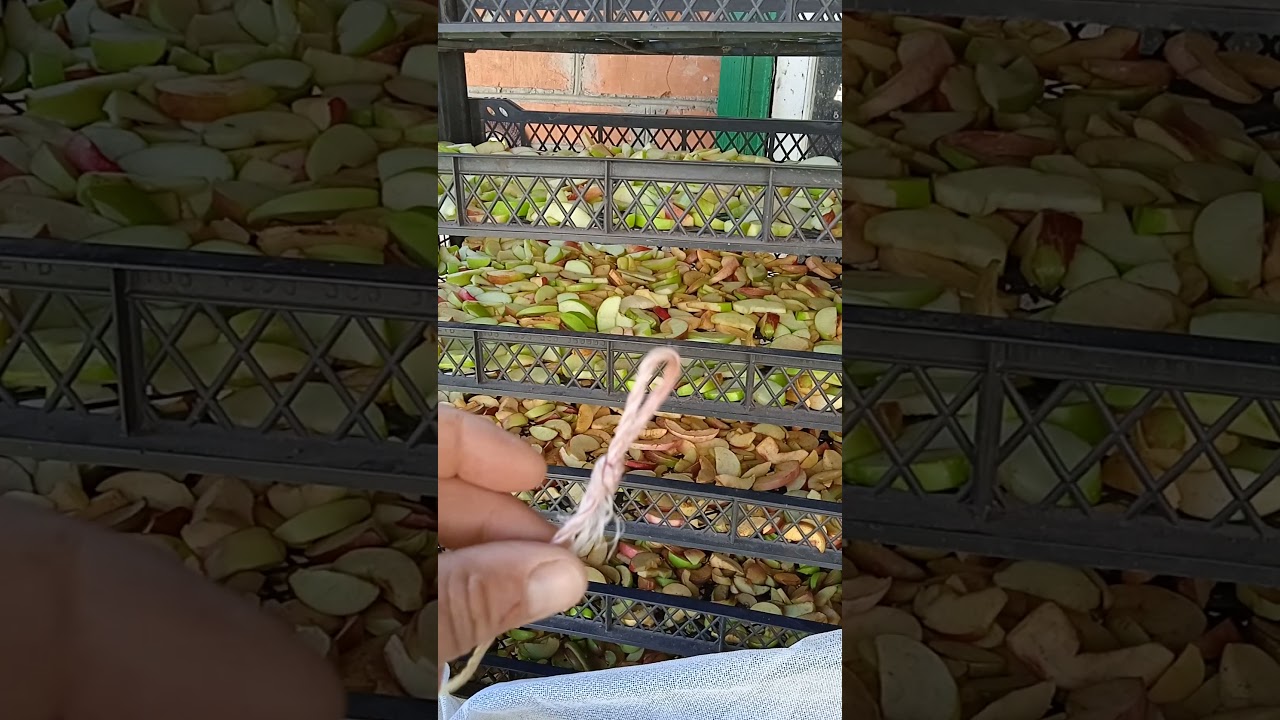 Сушка для фруктів за копійки. Сушка своїми руками.