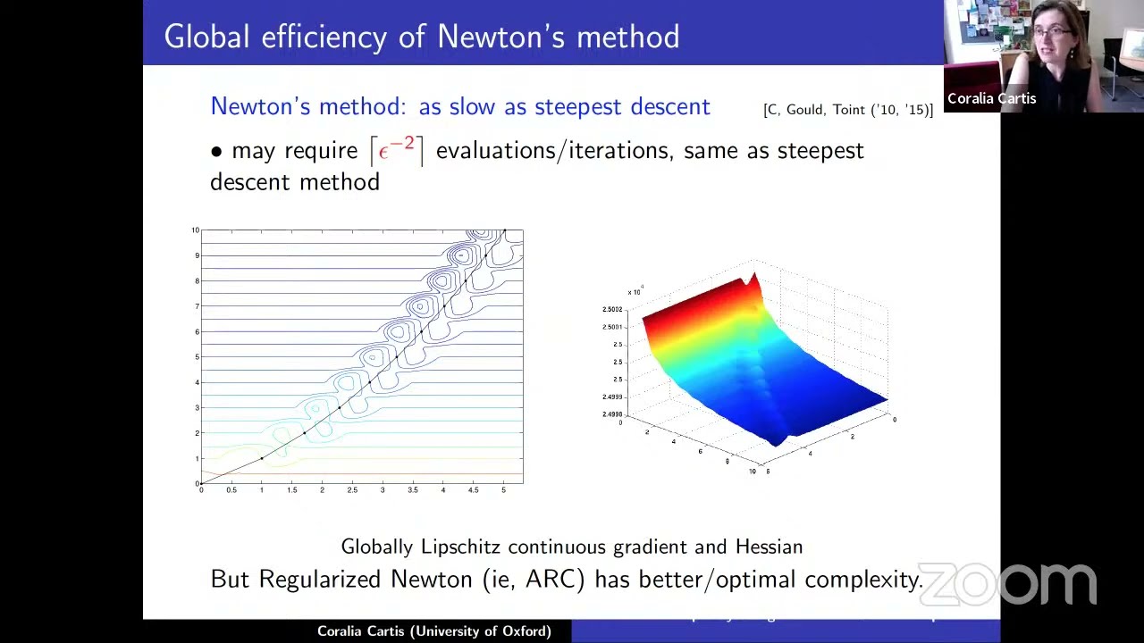 Coralia Cartis: Evaluation complexity of algorithms for nonconvex optimization