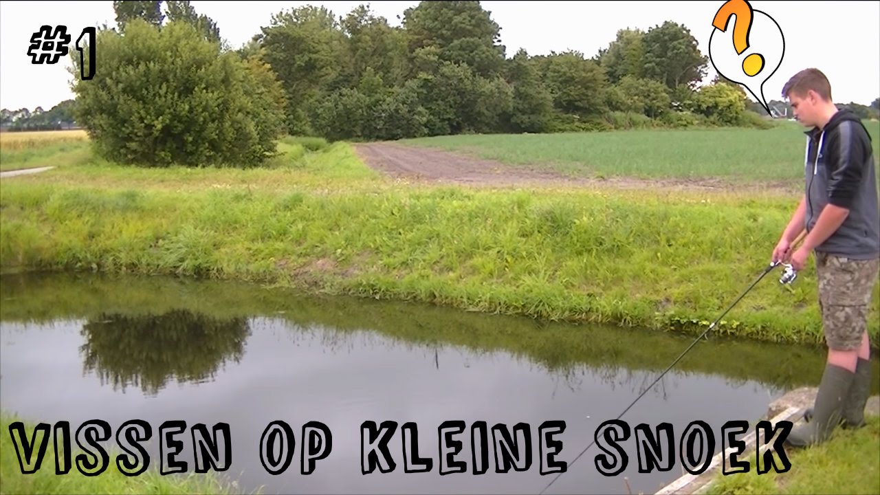 Aflevering 1: Vissen op kleine snoek