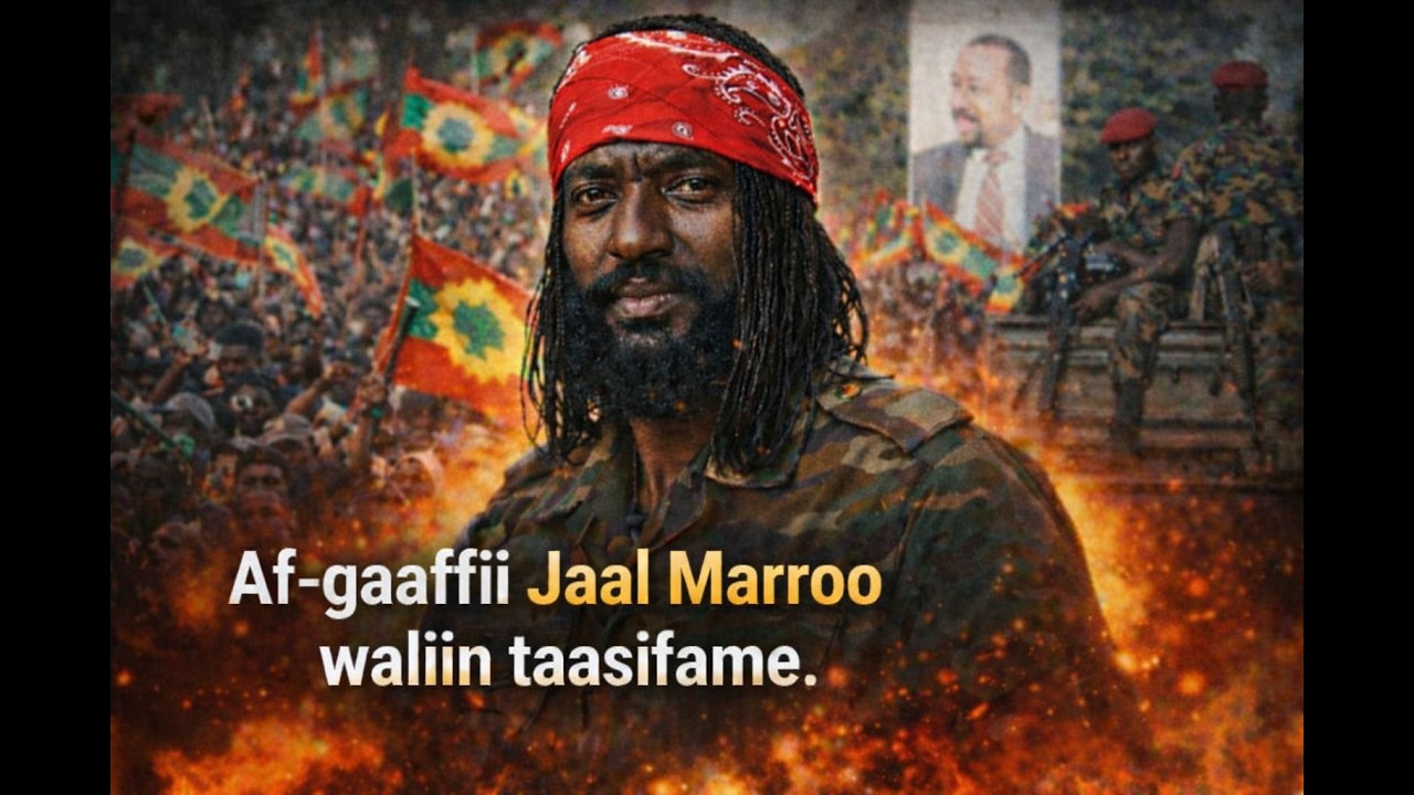 AMMEE🔴Ajajaan ABO-WBO Jaal Marroo Dirribaa dhimmoota tibbanaa irratti hasawaa taasisaniiru. Hordofaa