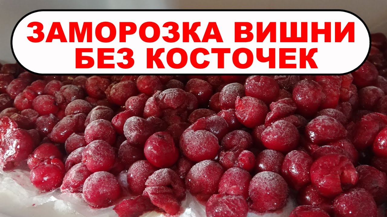 Как заморозить вишню на зиму без косточек и с ними. Заморозка вишни на зиму для пирогов и компотов.