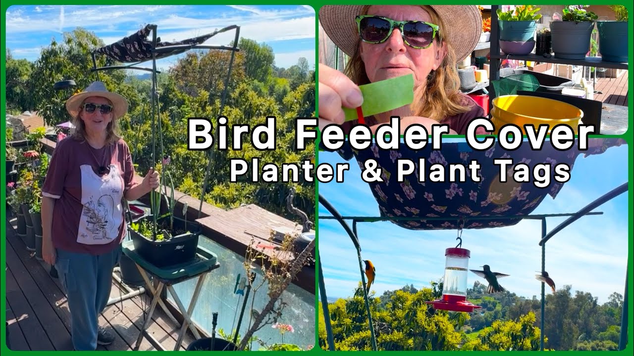 How to Make a Covered Hummingbird Oriole Feeding Sanctuary Flower Planter from Sun￼ Rain & Predators