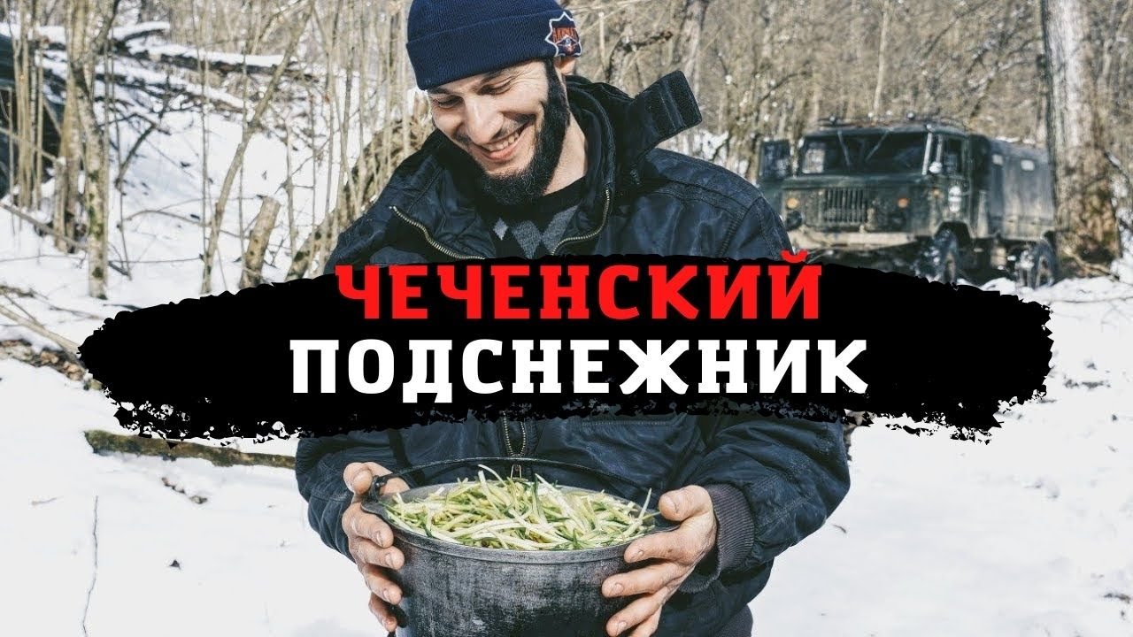 Черемша как часть культуры чеченцев