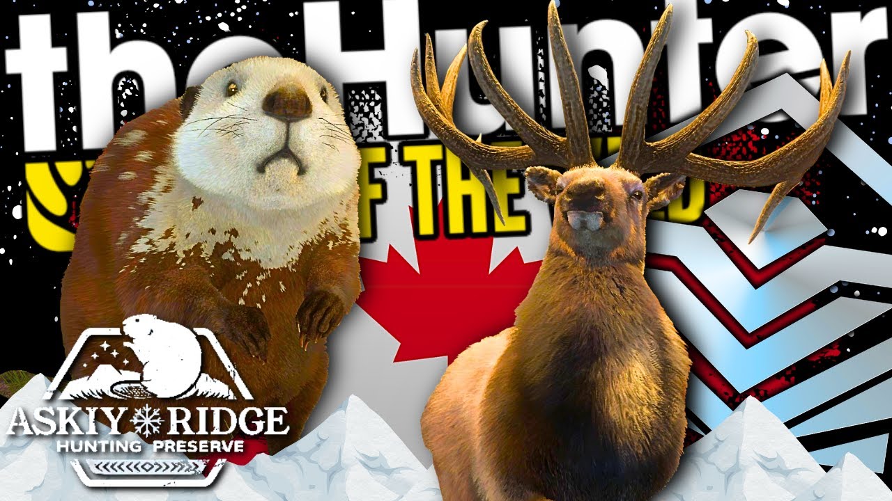 Hunting a RARE BEAVER & HUGE Diamond Manitoban Elk in Askiy Ridge Alberta! | Call of the Wild